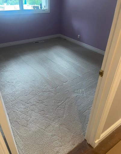 CarpetCleanersPlus - Visual