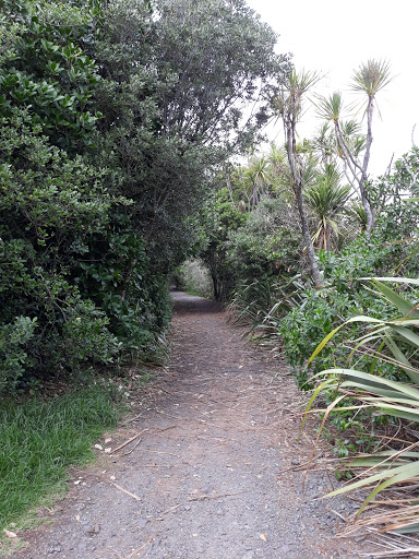 Devonport Timber - New Zealand