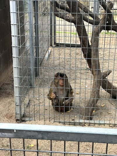 The Greater Wynnewood Exotic Animal Park