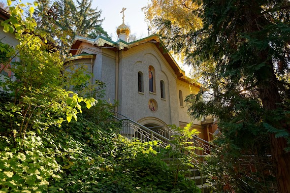 Knyajevski monastery Shroud of Holy Mary, Author: Княжевски манастир "Покров на Пресвета Богородица"