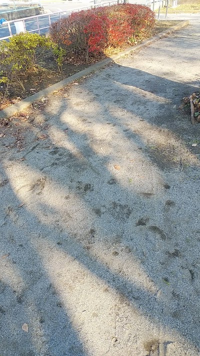 練馬区立梅の木児童遊園