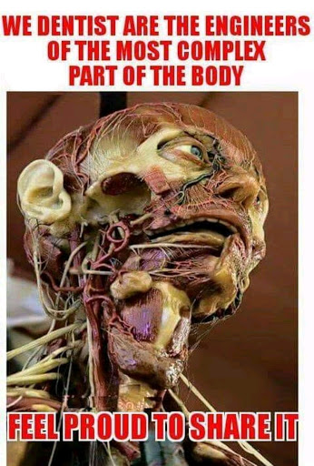 Gallery image 187