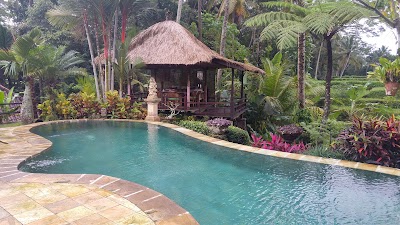 Photos of Villa Orchid