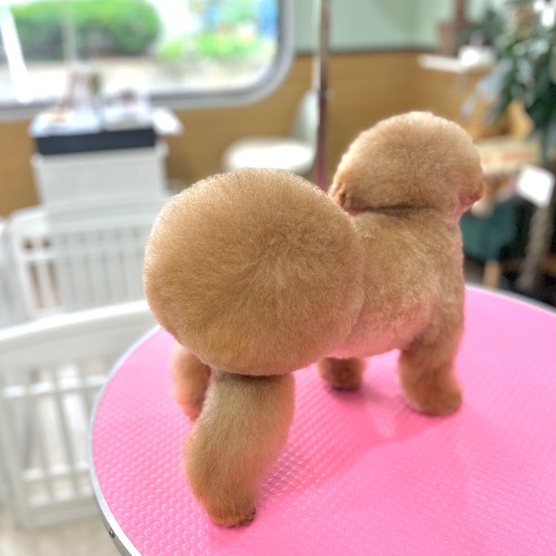 trimming salon Pearl