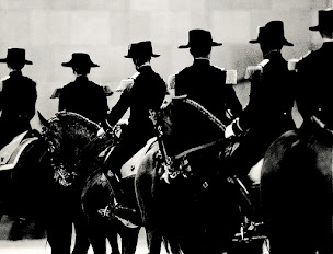 Photo n°6 de Cadre noir de Saumur à Saumur (Agence de visites touristiques)