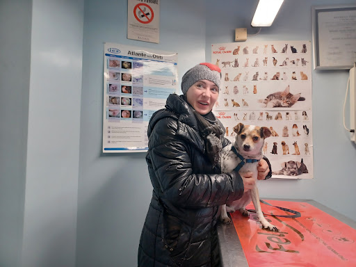 Clinica Veterinaria GAIA Ancona - Servizio di Oncologia Veterinaria - Thumbnail