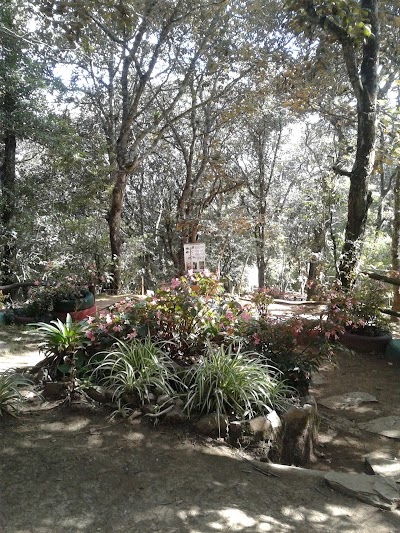 Photos of Cerro Alux