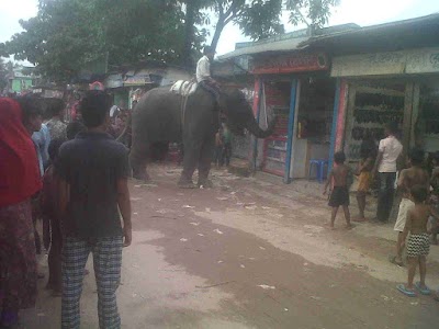 Photos of Ershad Nagar Bus Stop