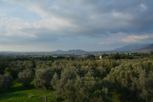 Roccabruna Tower - Visual