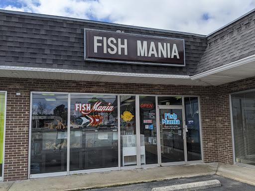 Fish Mania - Visual
