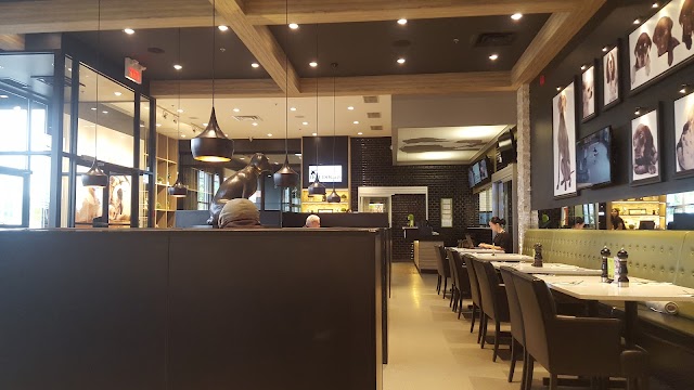 Hot-Dog Café