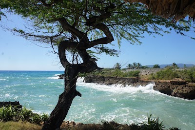 Photos of Habitat by the Sea, KONPAY