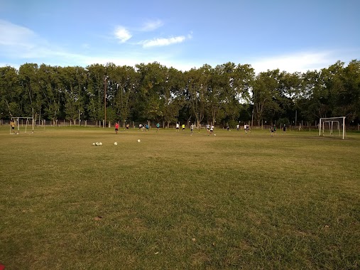 Campo De Deportes UNLP, Author: gastón gays