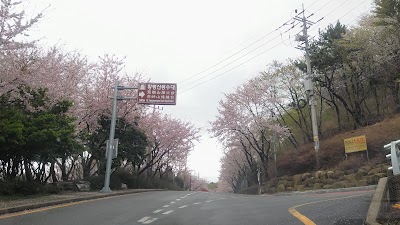 Photos of 황령산