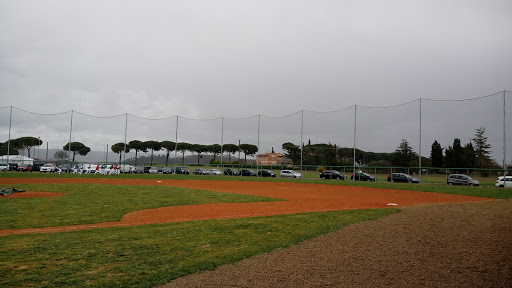 Siena Baseball - Visual