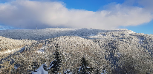 Statera Schwarzwaldtrail - Thumbnail