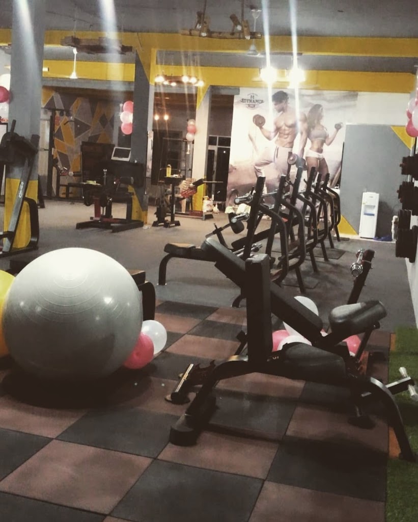 Dynamo Gym