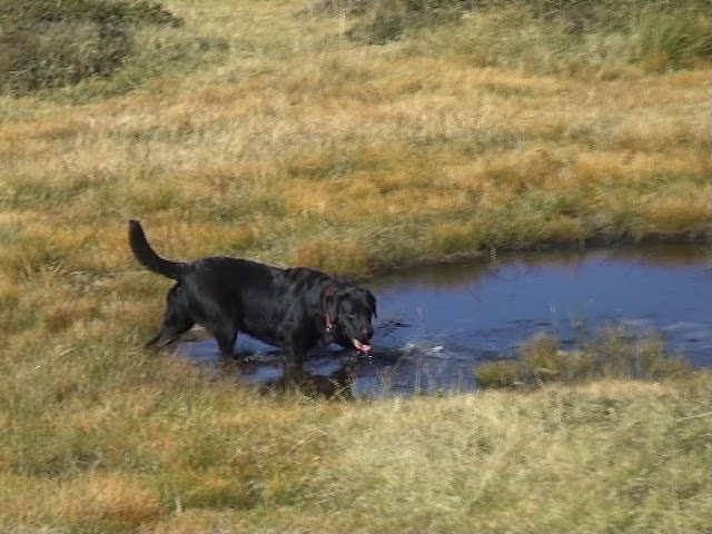Lac Fourchu