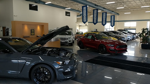 Elyria Ford - Visual