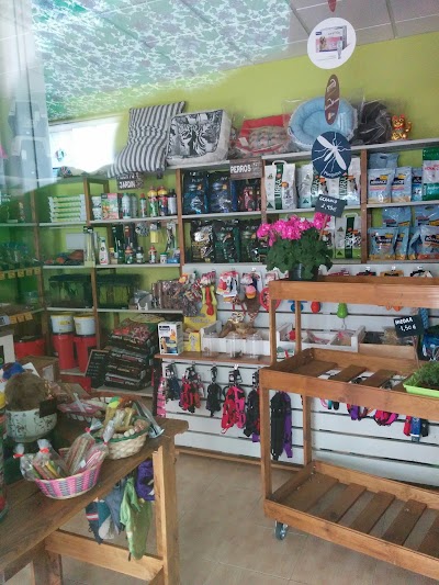 Photos of Furniture Mark 1