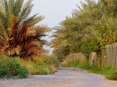 Photos of الازركيه