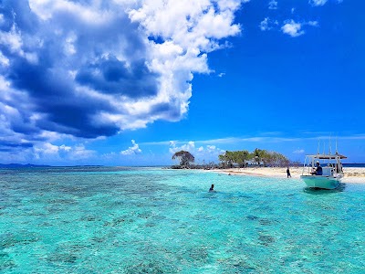 travel-agency