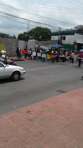 Parada de Autobuses Chipitlan Logo