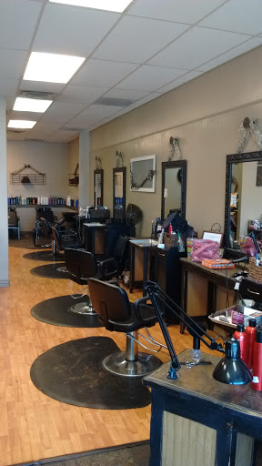 Salon Craze - Thumbnail