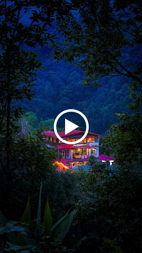A Peaceful Mountain Escape in Darjeeling 🌿🏔️ | The Cozy Nest Jungle Farm post image