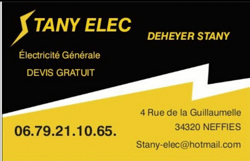 Stany-Elec Logo