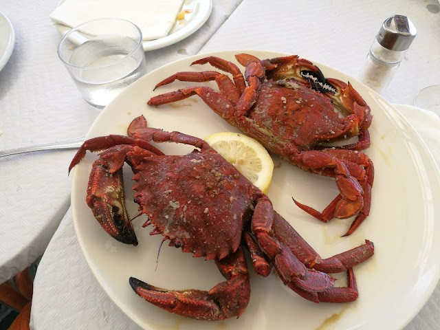 Restaurante El Pájaro Amarillo