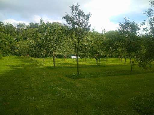 Dorpstuin - Thumbnail