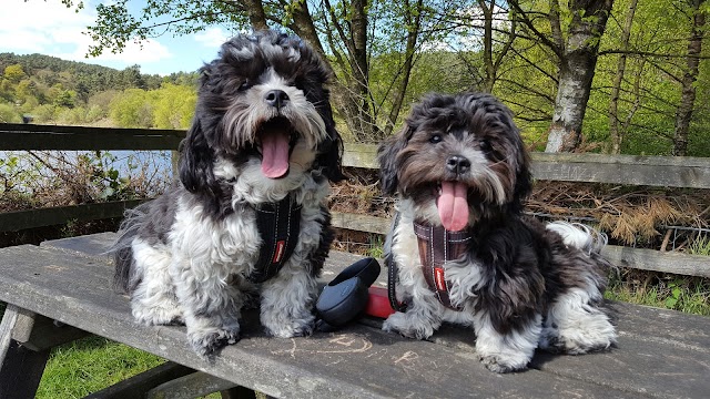 Ogden Water Country Park