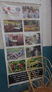 Amazon Camp Eco Lodge Jungle Fun 1