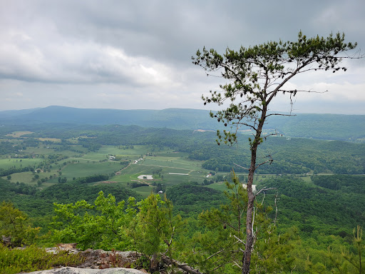 Zahnd Wildlife Management Area - Thumbnail