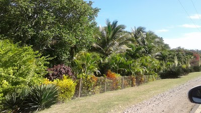 Photos of Pacific Green
