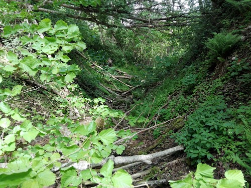 Tabasalu loodusõpperada