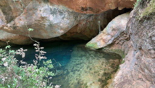 Source de l'Avy
