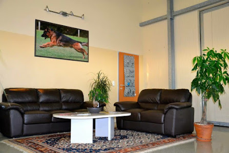 Hundetrainings- & Betreuungszentrum Hödl - Feldbach
