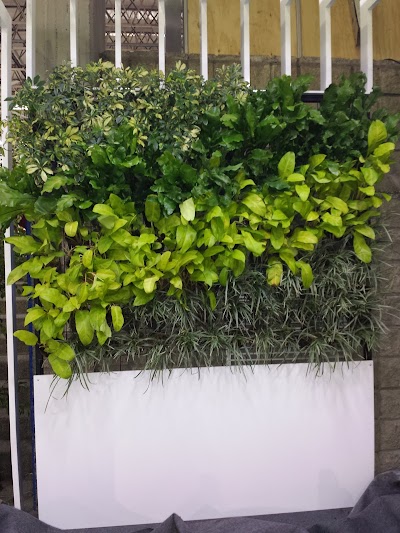 Photos of Vivero Al Solar