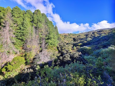 Hosmer Grove Campground