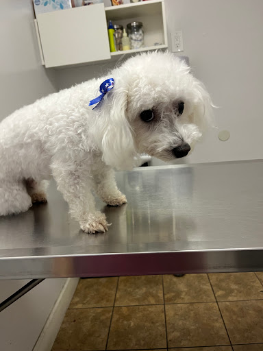 Animal Hospital Santa Fe - Thumbnail