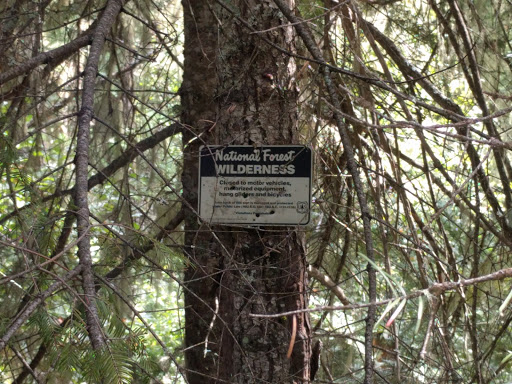 Ladybug Campground - Visual
