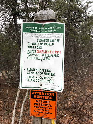 Waterboro Barrens Preserve - Thumbnail