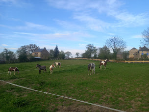 Photo n°17 de Ranch du Lévézou - Centre de Tourisme Equestre à Trémouilles (Service de tours de poneys)
