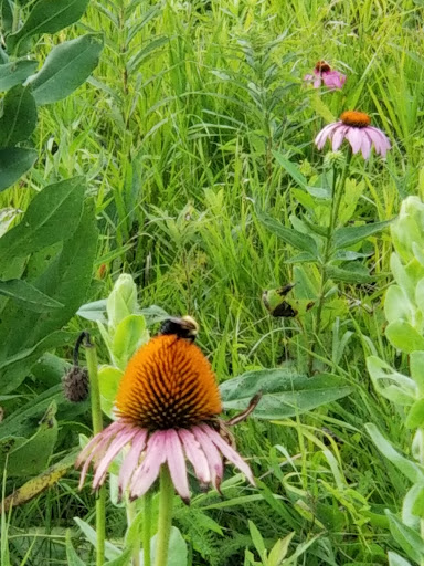 Huffman Prairie State Natural Landmark - Thumbnail
