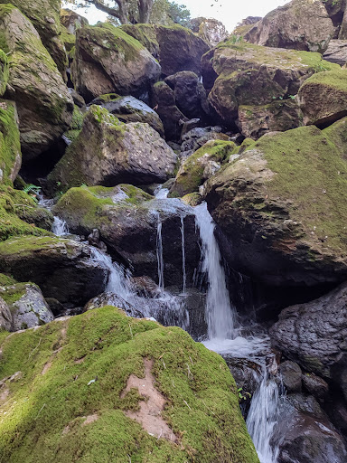 Cascata del Rio Is Alonis Gallery - Italy