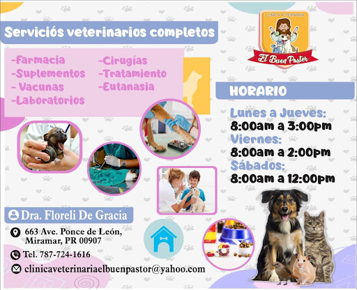 Clinica Veterinaria El Buen Pastor - Thumbnail