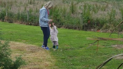 Photos of Curio Bay Camping Ground