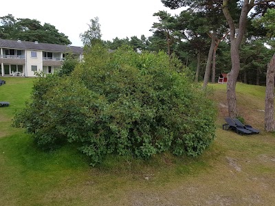 Photos of Dueodde Badehotel